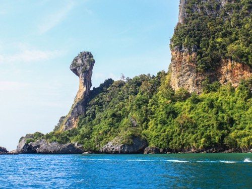 Bamboo & Chicken Island
